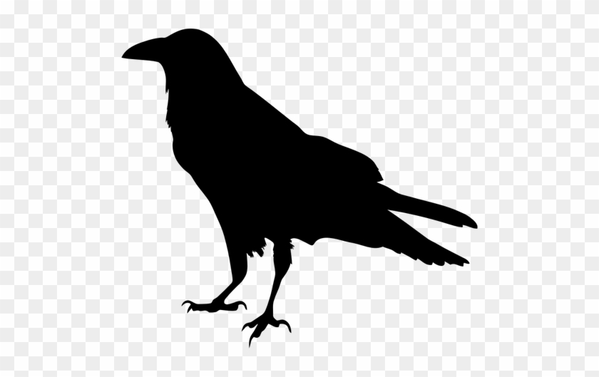 Crow